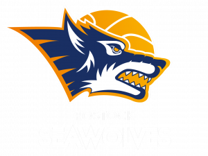 Rostock Seawolves Basketball Logo